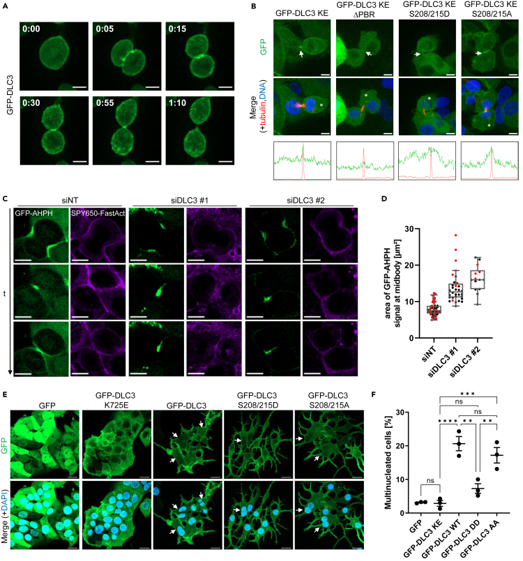 Figure 4