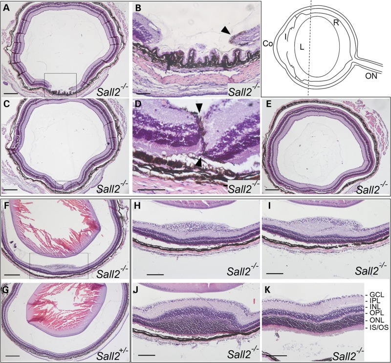 Figure 4.