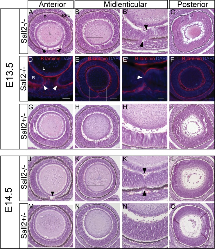 Figure 3.