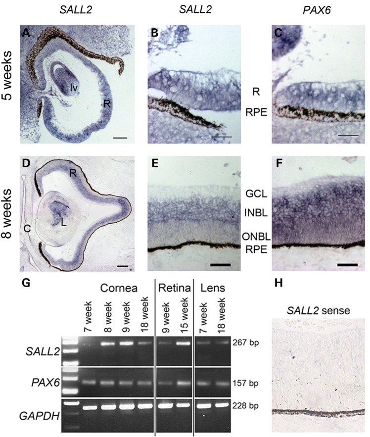 Figure 2.