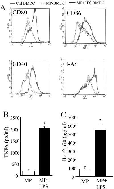 FIG. 9.