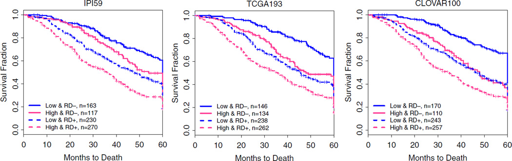 IPI59: An Actionable Biomarker to Improve Treatment Response in Serous Ovarian Carcinoma Patients