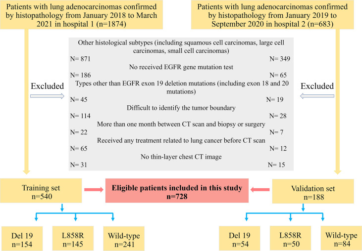 Figure 1