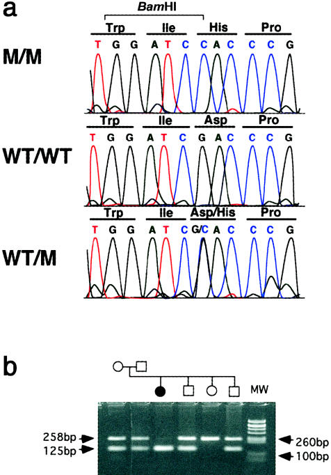 Figure  3