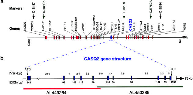 Figure  2