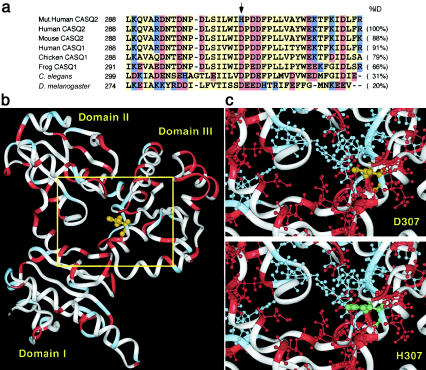 Figure  4