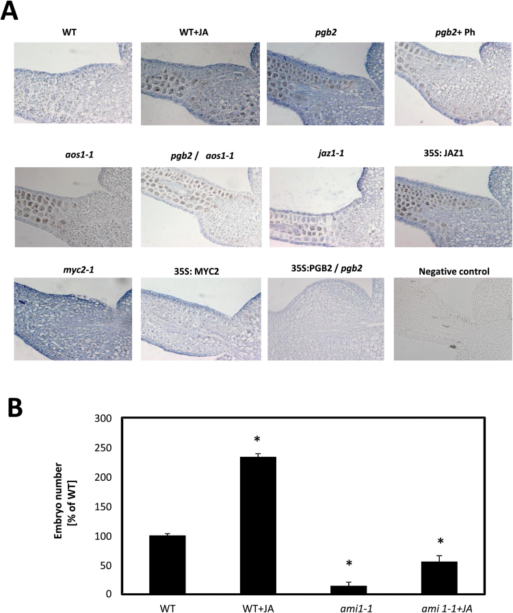 Fig. 8.