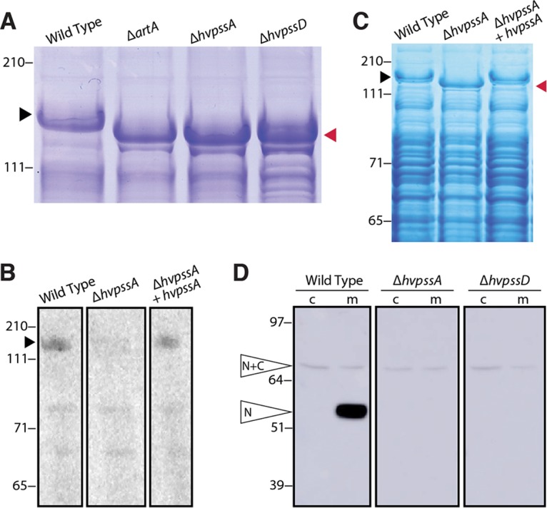 FIG 3