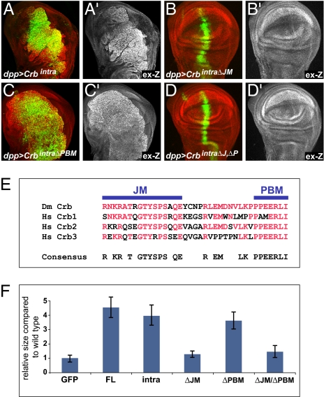 Fig. 4.