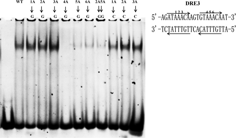 Figure 6.