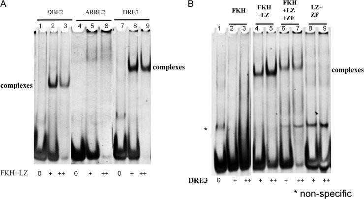 Figure 5.