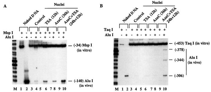 FIG. 10.