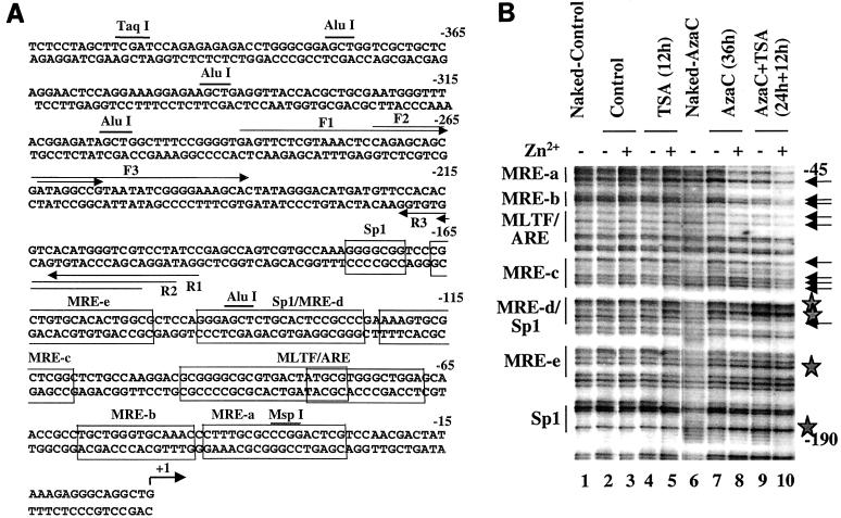 FIG. 9.