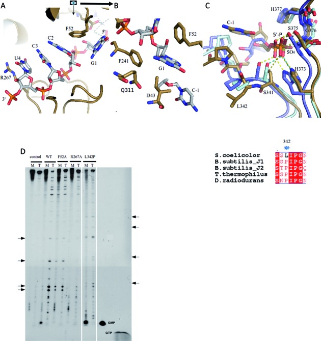 Figure 4.