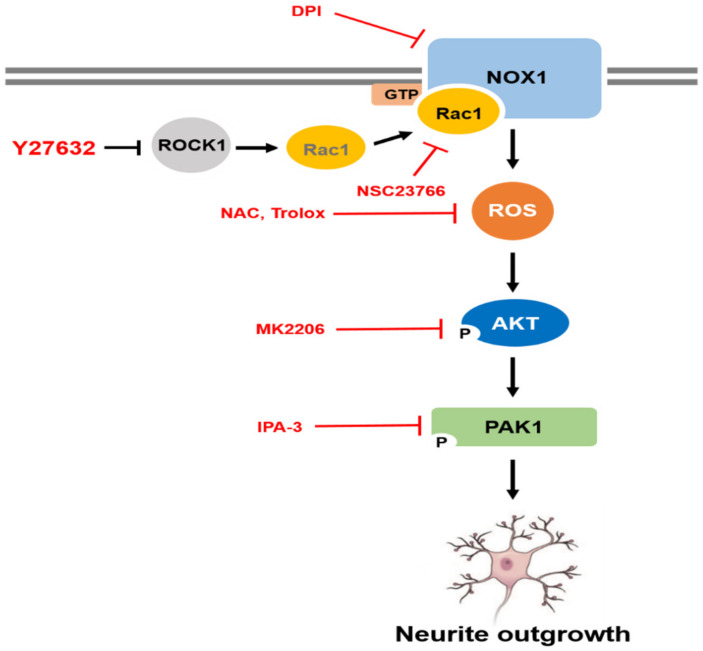 Figure 6