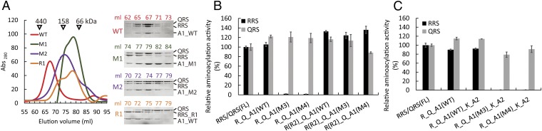 Fig. 3.