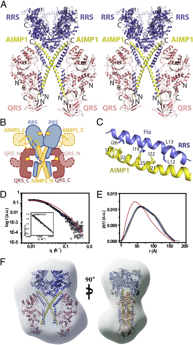 Fig. 2.