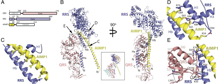 Fig. 1.