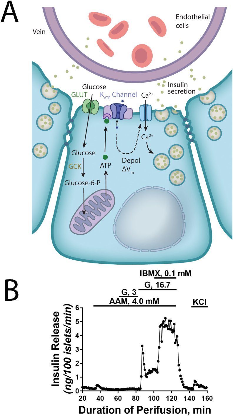 Figure 2