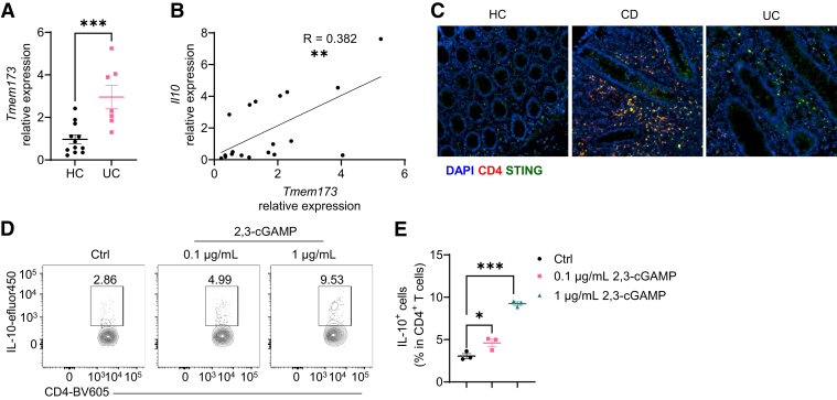 Figure 12