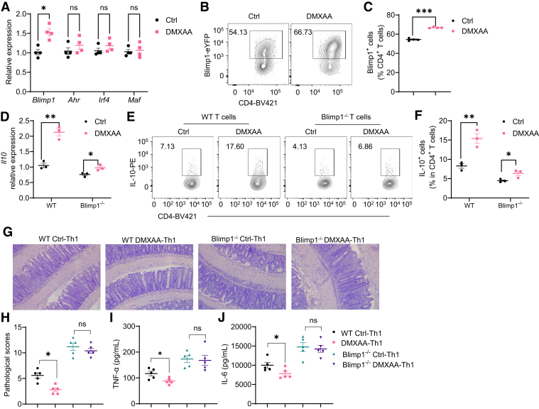 Figure 6