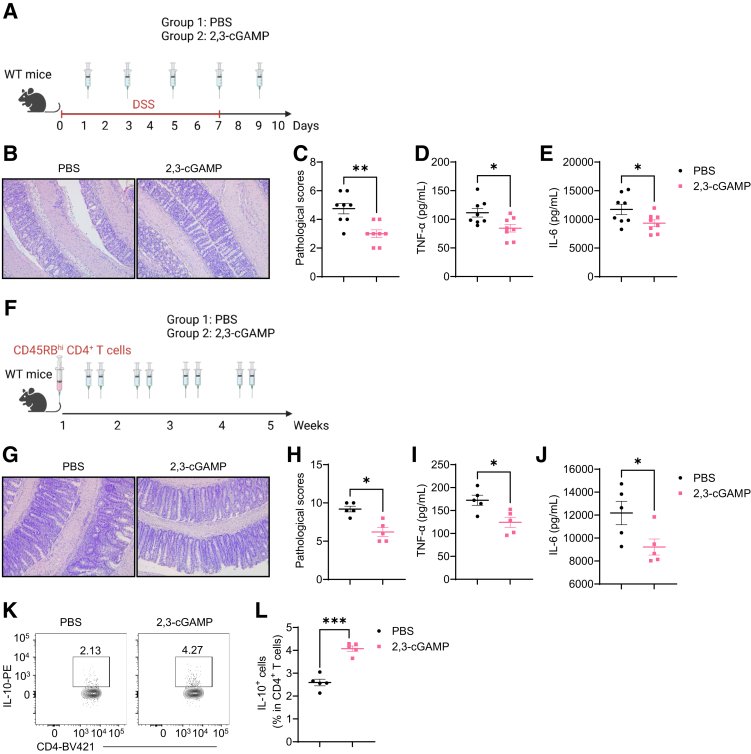 Figure 11