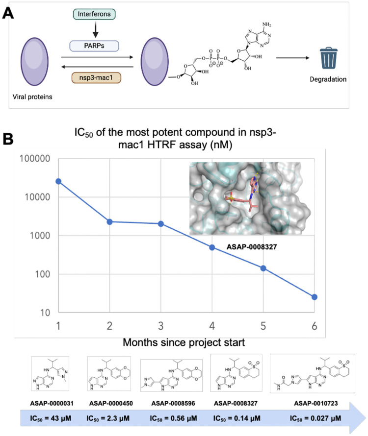 Figure 1: