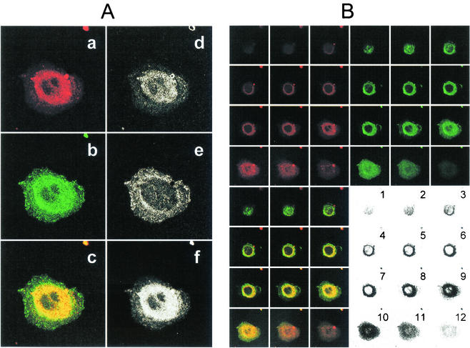 FIG. 7.