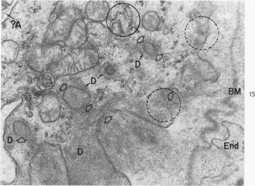 Fig. 15