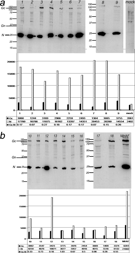 FIG. 5.