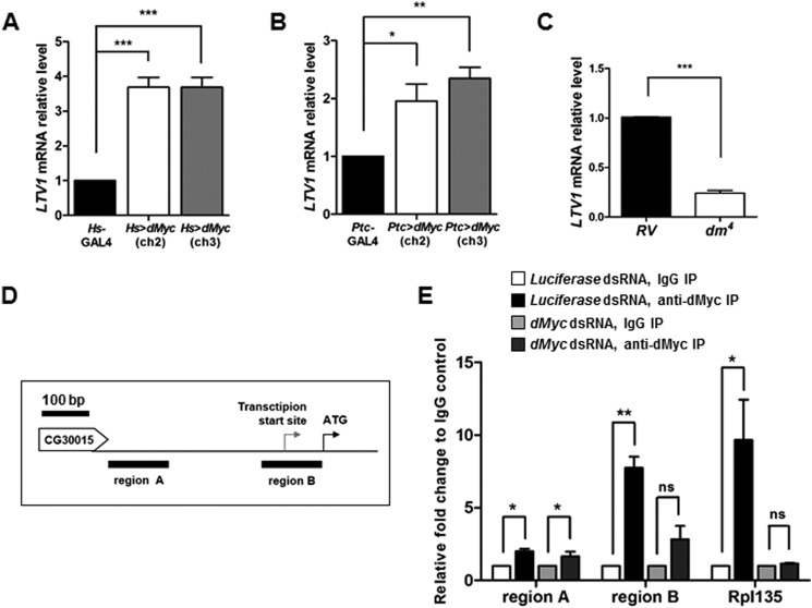 FIGURE 6.