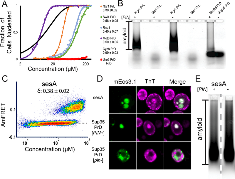 Figure 3: