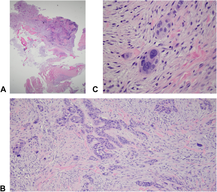 Figure 3