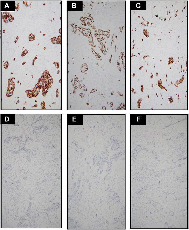 Figure 4