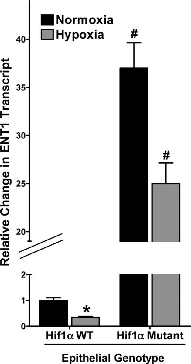 Figure 10.