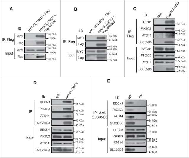 Figure 6.