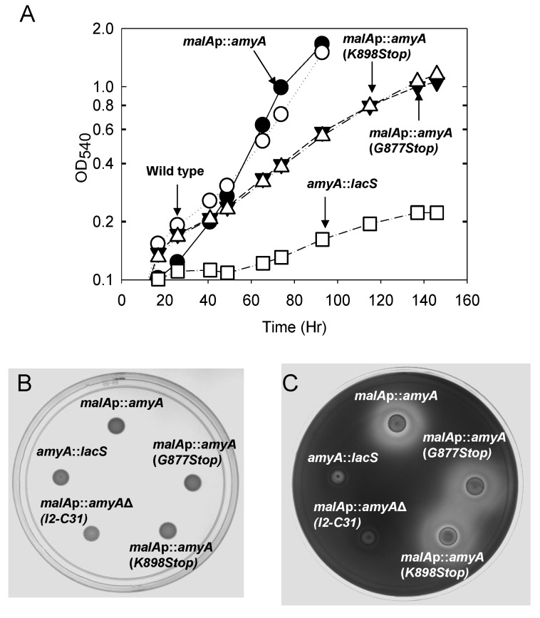 Figure 5