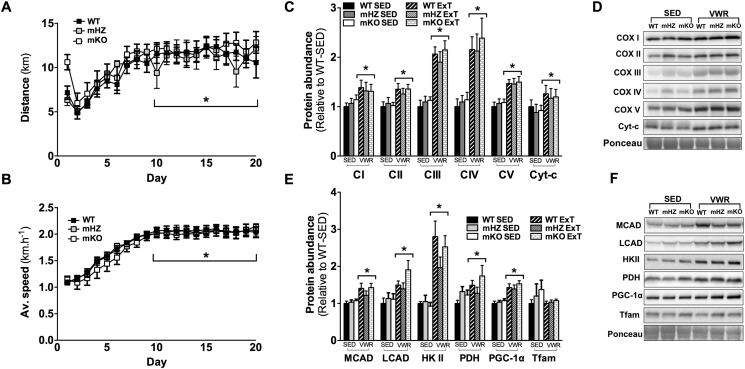 Figure 6