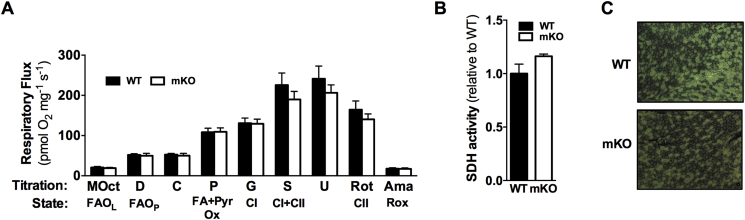 Figure 5