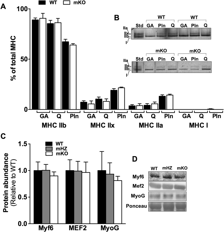 Figure 4