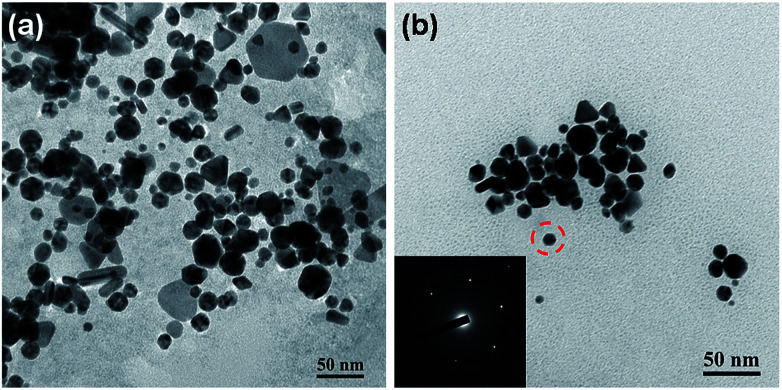 Fig. 9