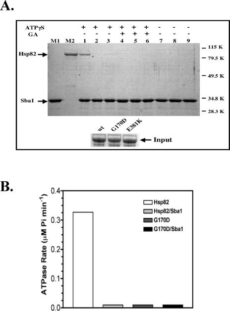 Fig 5.