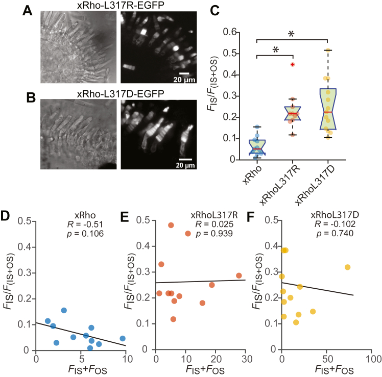 Figure 3