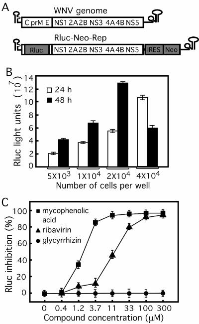 FIG. 1.