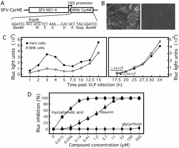 FIG. 2.