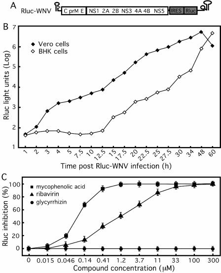 FIG. 3.