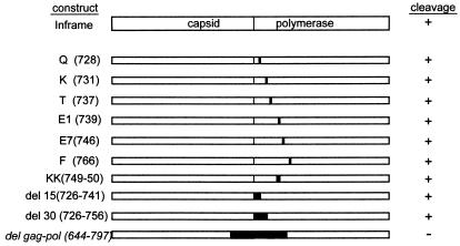 FIG. 6.