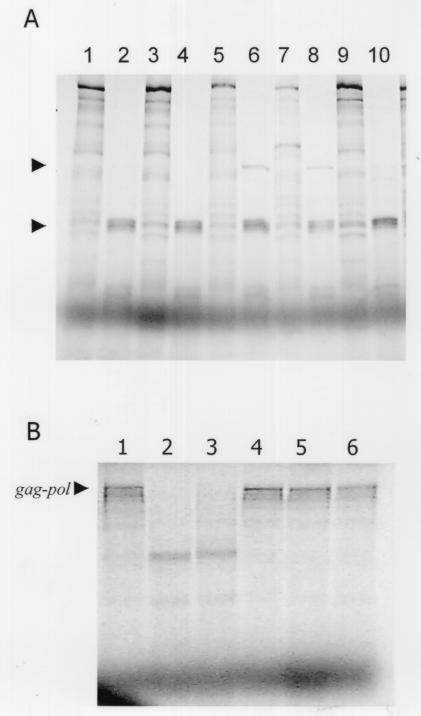 FIG. 8.