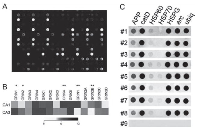 Fig. 10.2