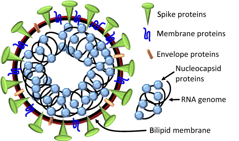 Fig. 1